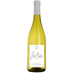 Vin blanc Petit Chablis AOC bouteille 75cl